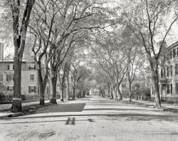 Salem, Massachusetts, circa 1906. "Chestnut Street." Continuing the chestnut theme. 8x10 inch glass negative, Detroit Publishing Company. View full size.