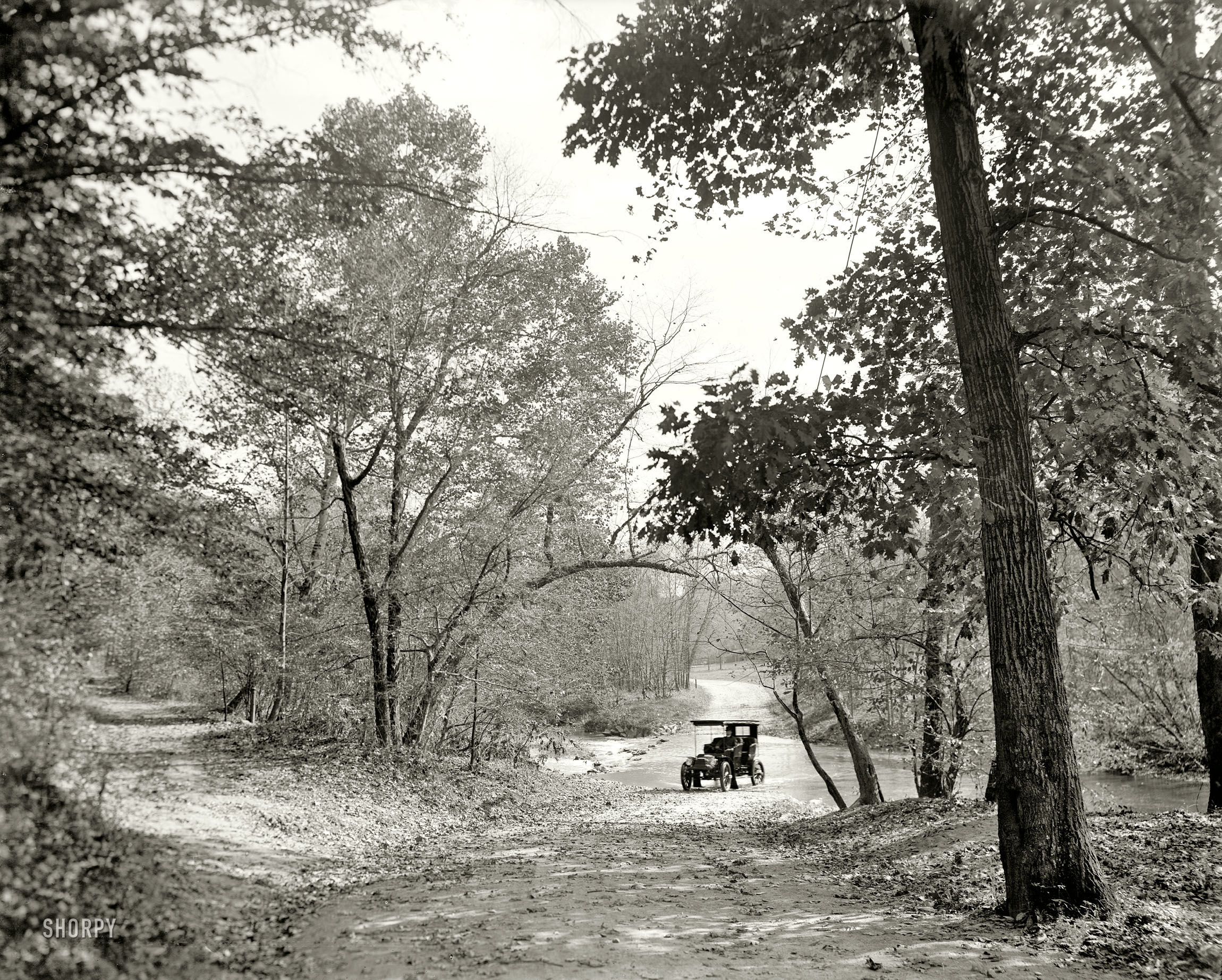 Washington, D.C., circa 1906. "The Fords, Rock Creek, zoo park." 8x10 inch dry plate glass negative, Detroit Publishing Company. View full size.