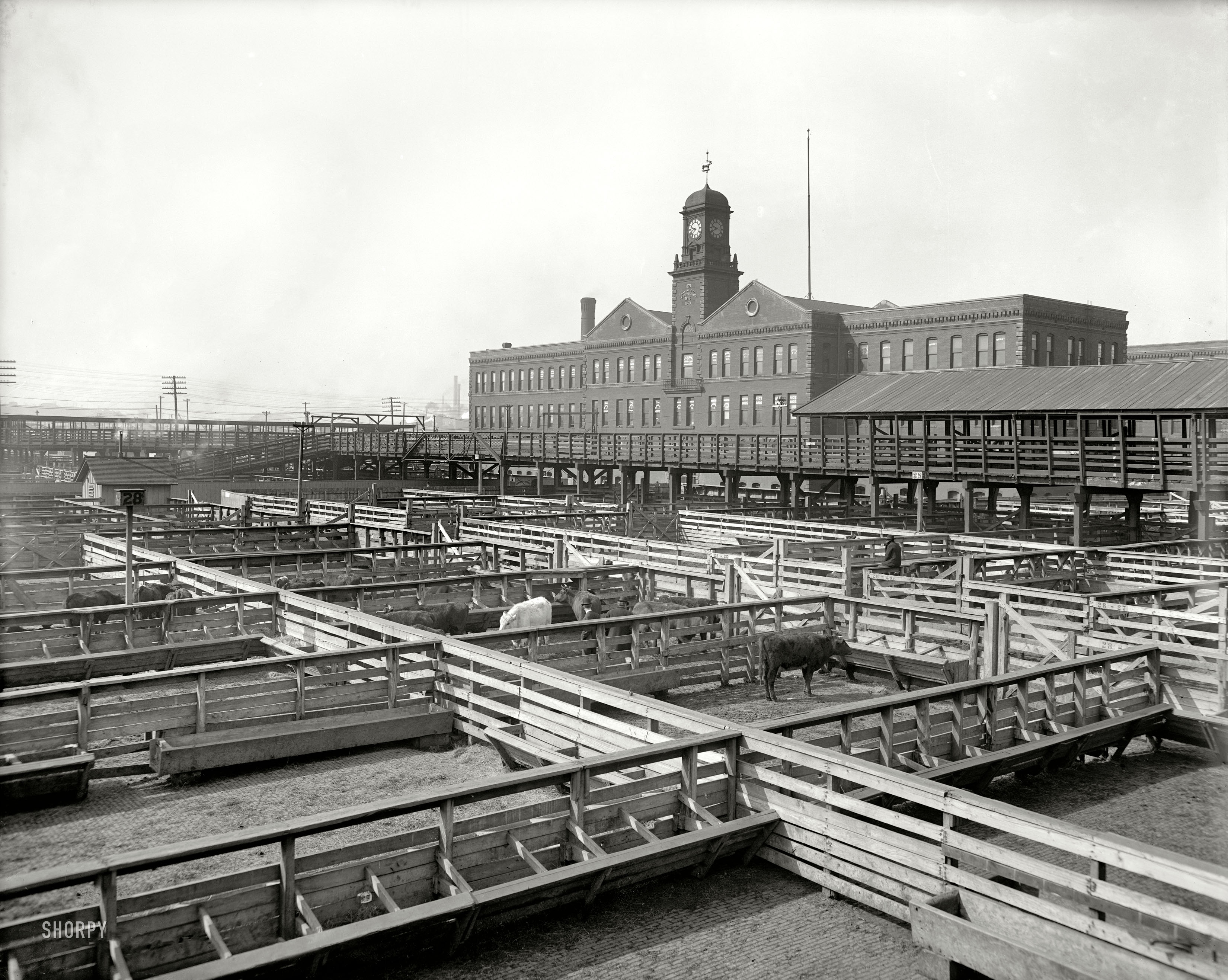 Kansas City, Missouri, circa 1906. "Kansas City livestock exchange." 8x10 inch dry plate glass negative, Detroit Publishing Company. View full size.