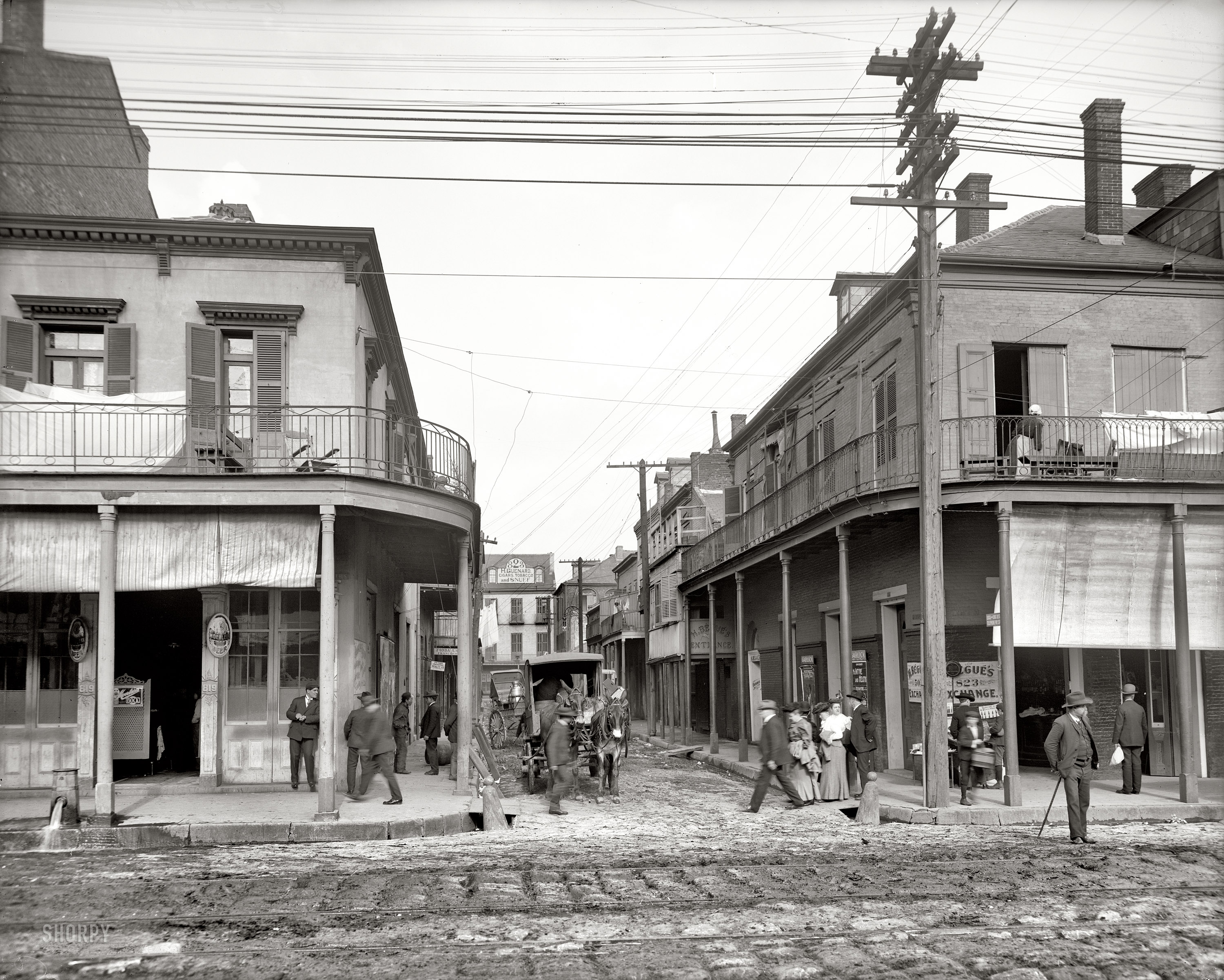 New Orleans circa 1906. "Italian headquarters, Madison Street." 8x10 inch dry plate glass negative, Detroit Publishing Company. View full size.
