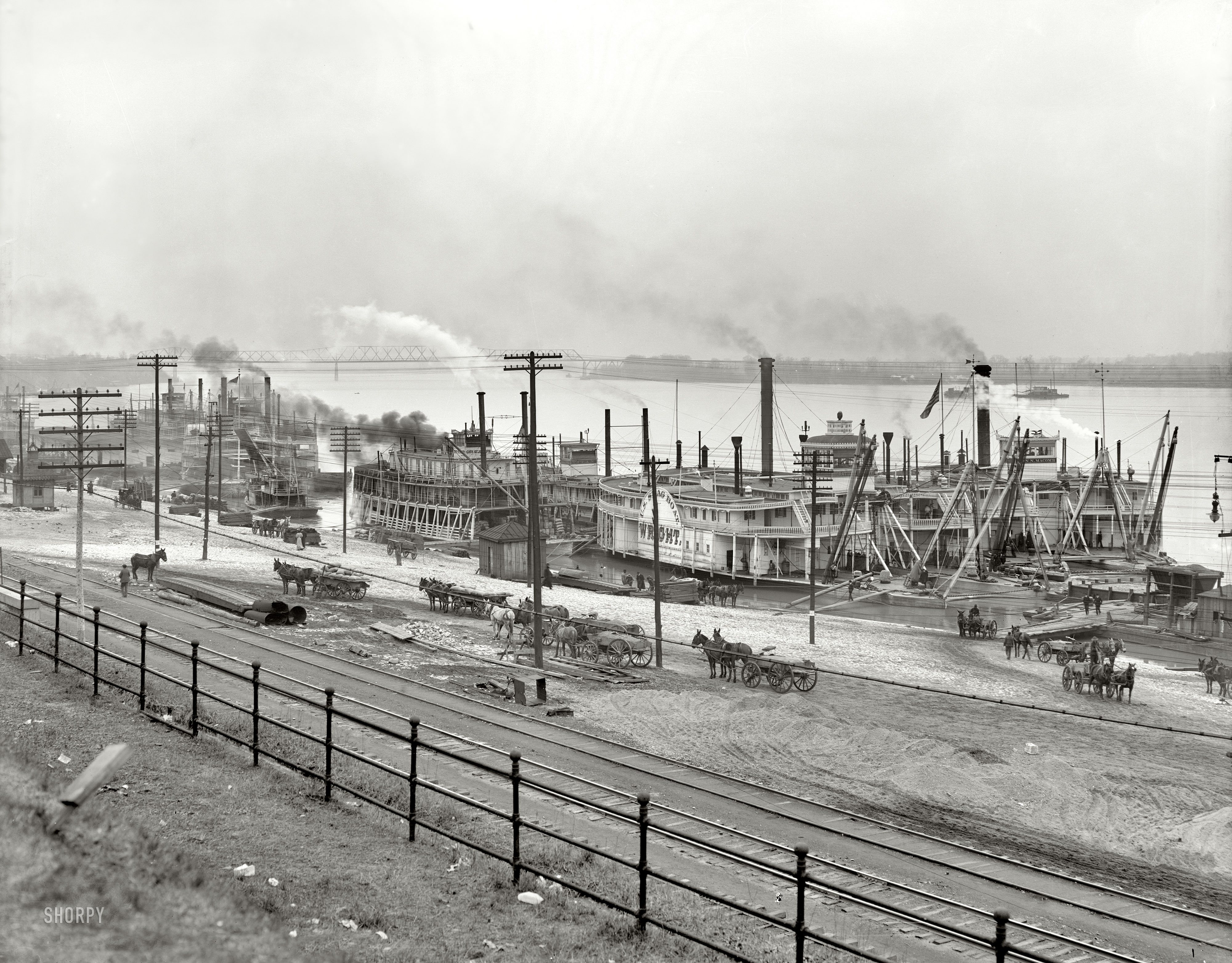 Memphis, Tennessee, circa 1906. "Mississippi River levee from the bluff." 8x10 inch dry plate glass negative, Detroit Publishing Company. View full size.