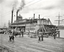 Mobile, Alabama, circa 1906. "River packet Nettie Quill." 8x10 inch dry plate glass negative, Detroit Publishing Company. View full size.