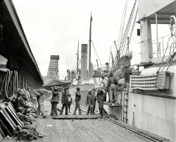 Mobile, Alabama, circa 1906. "Unloading a banana steamer." 8x10 inch dry plate glass negative, Detroit Publishing Company. View full size.