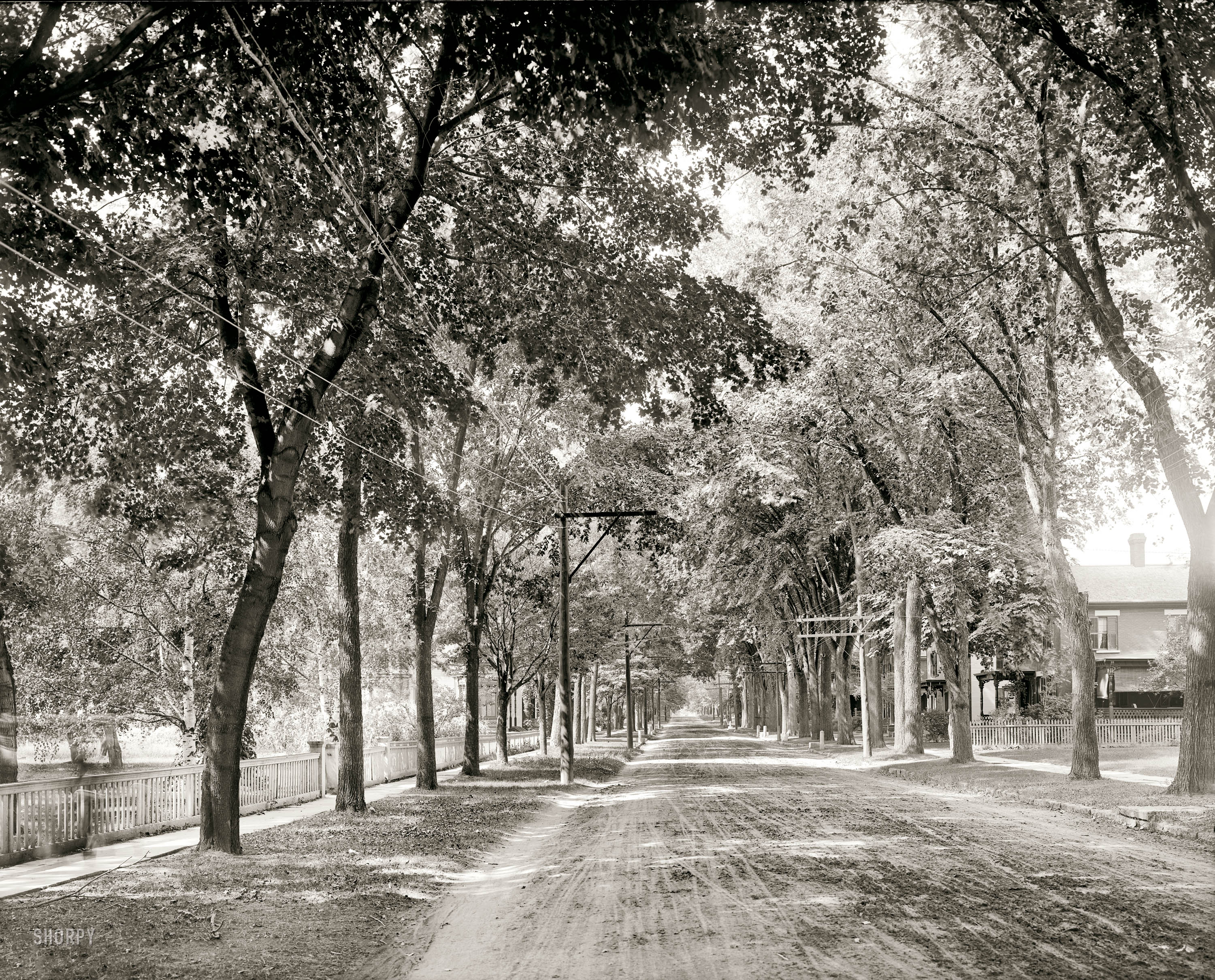 Plattsburgh, New York, circa 1906. "Brinkerhoff Street, west from Park." 8x10 inch dry plate glass negative, Detroit Publishing Company. View full size.
