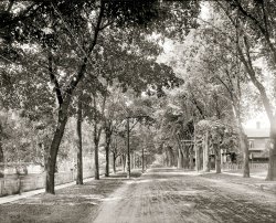 Plattsburgh, New York, circa 1906. "Brinkerhoff Street, west from Park." 8x10 inch dry plate glass negative, Detroit Publishing Company. View full size.
IdyllicI'd love to live on this street - even with all the mud when it rains and snows.
Although I'd hate to be home when it storms and those wires come down with the trees.
Self-employedYou could make a mint in the fall raking up all those leaves.
A very rare Shorpy street sceneNo streetcars, no tracks. 
GhostsA little difficult to see, but there is someone walking on the sidewalk to the left.
Elm streetI wonder if these are elm trees, soon to be doomed by disease.
Submitted for your approval ...I'd have thought that even without the Twilight Zone reference, as I do each and every time you post such a tree-lined jewel. As strong a synaptic anchor as the pig-nosed medical staff, Cliff Robertson's dummy and man-serving Kanamits.
Mounting blocksIt appears the well appointed homes of 1907 featured stone hitching posts and dismounting blocks for the convenience of callers. No obvious signs of automobile tracks in the roadway, and if I had a bicycle I'd use the splendid sidewalks. 
Sweet AmericanaThe Victorian houses, the picket fences, the magnificent trees, the seemingly endless stretch of road ... the stuff dreams are made of. That must have been a wonderful time to live, before the Depression, before the world wars. I know it wasn't perfect, but it's easy to get caught up in longing for a simpler, slower, more peaceful time.
Been thereI lived on the neighboring block in the 1980s while I attended college in Plattsburgh. Many of the Victorian homes are still there, but have been converted into apartments. I'm not sure what "park" is being referred to in the caption. Brinkerhoff does start at the college campus, so that could be it.
Hitch Your WagonI was going to ask what the short white posts were for, thinking they might be hitching posts, but I didn't see anything obvious to hitch anything to.  So I checked google images and found this page showing a leftover hitching post with a small ring on the top of it.
http://www.rockland.bc.ca/walking.html 
The dogs in the neighborhood must have been ecstatic.
Technology overlapIt's a wonder seeing a few auto tire tracks mixed in with wagon wheel tracks. Also, those hitching posts and mounting blocks won't be needed within a decade.
Twentieth Century A-Comin&#039; !Remember, the poles and wires had only recently begun to change this scene from its preindustrial look. It's all downhill from here.
Ghost Image part 2When you look at the far left of the full size view, there's a ghost image of what looks like a tricycle
Ghost #3Looks like a perambulator pushing a perambulator to me.
Key World War I sitePlattsburgh would by 1911 host the Army's Plattsburg Training Camp and Officer Candidate School, home of the "Plattsburg Idea," a forerunner of the ROTC.
Brinkerhoff ends at SUNY if you're headed west.
Shutter functionalitySomeone on the right side is actually using a shutter on their upper window. Today shutters are just an ornamental element and most times the wrong size for the windows they're next to.
(The Gallery, DPC, Small Towns)
