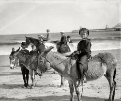 Circa 1901, back at the Jersey Shore. "Riding donkeys, Atlantic City." Note the roller coaster in the distance on Young's Pier. Detroit Publishing. View full size.