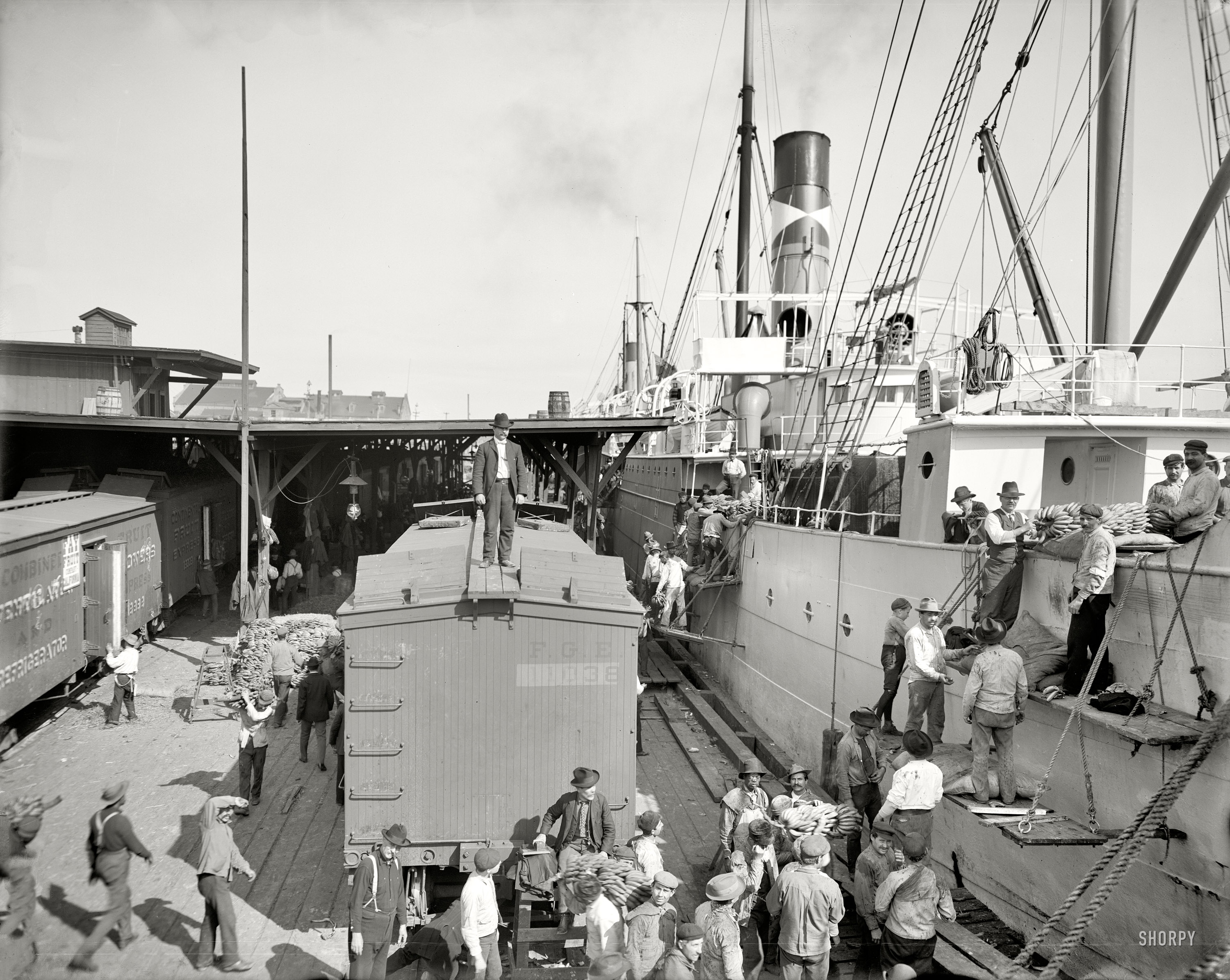 Circa 1903. "Unloading bananas at New Orleans." Come Mr. Tally Man! 8x10 inch dry plate glass negative, Detroit Publishing Company. View full size.