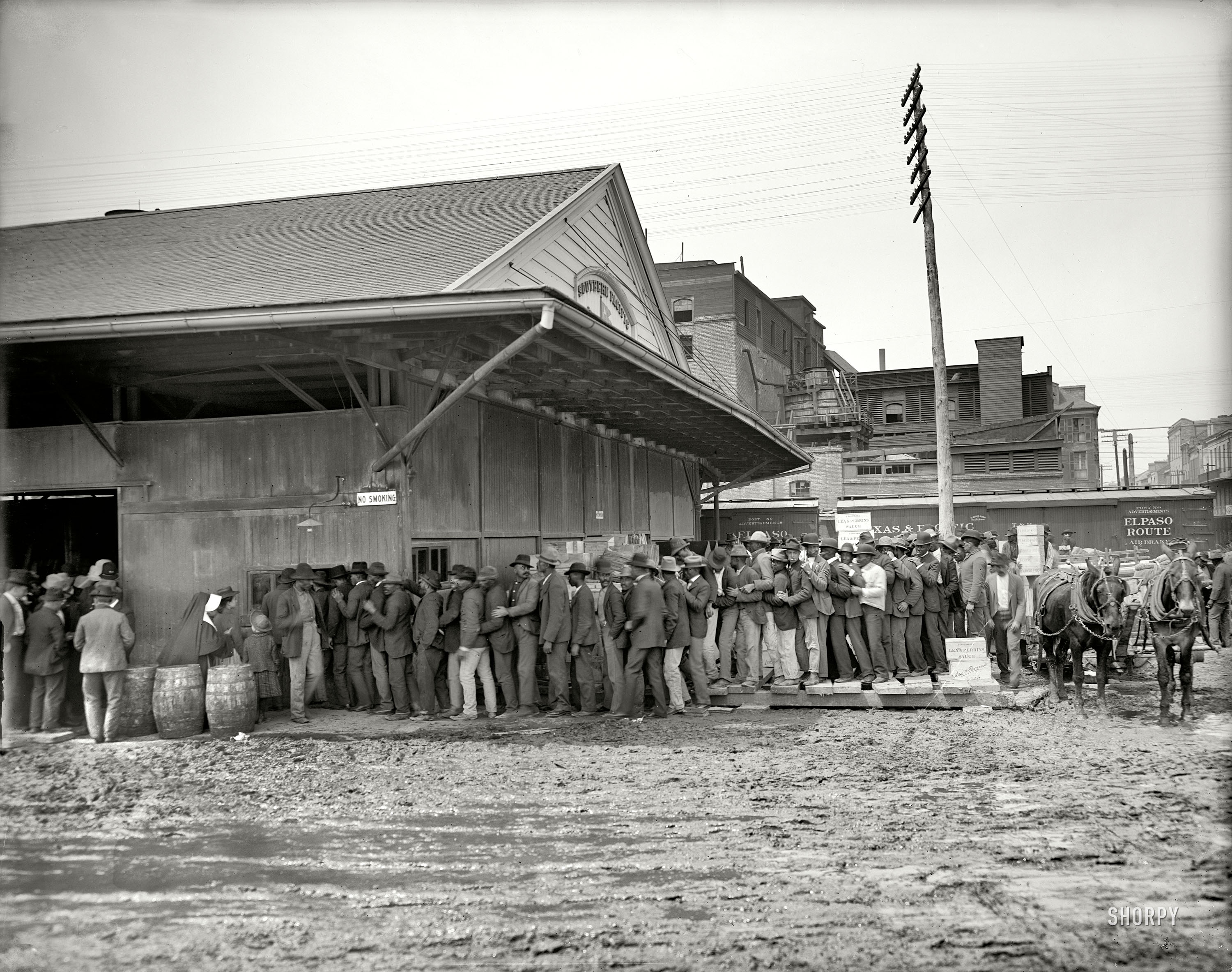 New Orleans circa 1906. "Payday on the levee." An alternate version of this post. 8x10 inch dry plate glass negative, Detroit Publishing Company. View full size.