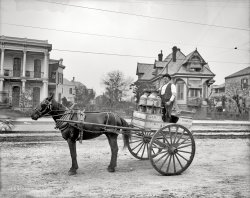 Louisiana circa 1903. "New Orleans milk cart." Bonus points if you can Street View this. 8x10 inch glass negative, Detroit Publishing Company. View full size.