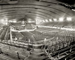 Ocean Grove, New Jersey, circa 1900-1910. "Interior of auditorium." 8x10 inch dry plate glass negative, Detroit Publishing Company. View full size.
A Magnificent AuditoriumThe is the wonderful auditorium where I was lucky enough to once see a production of Gilbert &amp; Sullivan's "The Pirates of Penzance" back in the summer of 1947. The acoustics were amazing. Ocean Grove, just south of Asbury Park on the north Jesrey Shore, along with Ocean City on the south Jesey shore, and Oak Bluffs, on Martha's Vineyard, were popular Methodist summer camp grounds and resorts and probably still are. You could not drive on the streets of Ocean Grove on Sunday. The locals hung chains across the roadways into the community to prevent cars and trucks from disturbing the tranquility.
Wooden you know itSo that's what happened to Noah's Ark!
And the Spirit movedThey meant business during that turn-of-the-century Holiness revival. And I'll bet deodorant hadn't even been invented.
Electrifying SermonWith a stage show and gear like that I'd have to guess it's Billy Sunday.
No?
Re: Wooden You Know ItThanks for the hearty laugh I got from your comment.
Wheres Waldo?Post Rapture?
Just imagineThe heat in that place on a July Sunday
Say Amen sombodyLooks like a Revival setting up. 
How many trees did it taketo create a marvel like that?  All that wood must have smelled wonderful - until half the occupants lit up their cigars.  Maybe smoking wasn't allowed for being sinful, not to mention the tremendous fire hazard.  A wonderful space, anyway, complete with full orchestra.  
Fireproof ConstructionThis place gives new meaning to "Burn in eternal damnation."
Beautiful BuildingInteresting building, looks like it's still standing too.
View Larger Map
Holy cow!An esthetic nightmare!
Elmer Gantry Lives!Where are Burt Lancaster and Jean Simmons?
Praise the LordFor your viewers who are city slickers and sophisticated lifelong residents of either American coast, they might not realize that these revivals are still going on to this very day in the Southern states of the U.S. on all levels, from the big entertainment shows in huge church auditoriums to the local small scale "tent revivals" which are precisely as described, various sizes of simple tents with assortments of metal or plastic folding chairs or even B.Y.O.C. venues.  There are both ordained ministers or simple country preachers and everything from full orchestras to a single rinky-dink used piano.  Elmer Gantry comes to mind as individual cardboard fans are distributed by the local funeral homes.  Having grown up in Connecticut, I really enjoy my current residence in the south, sometimes I feel like I'm living in a moving picture, but the people have stellar strength of character which I find intriguing.  I didn't know what I was missing growing up as a Yankee.
Sitting in judgmentI hope the revivalists provided seat cushions. Ouch.
Pre-individualismReligion on an industrial scale. Amazing.
A lot of woodI was thinking the same thing......a lot of wood was used to build this place. The downside is places like this burned down fairly easily. Not to mention being on the coast, you would assume the wood was more subject to corrosion &amp; rot.
FiretrapToday's fire marshal would be horrified with this seating arrangement and building materials.
Say What?They must have had some sort of amplification system in use, but I can't imagine what it would be back then.
[It was called "oratory." - Dave]
High reachI bet all those little light bulbs hanging from the ceiling were pretty lit up but it must have been a job to replace them when they burned out.  
In the Sweet By and ByThe roof had to rise up off its rafters or beams as the choir, pipe organ, orchestra and congregation raised their voices in the great 19th century hymns!  Would loved to have heard them!  None of the pathetic little 7-11 songs of today where they sing the same seven words over and over 11 times in monotonous drudgery.  Then it was five full verses plus chorus each time!
Still standingI live in the area &amp; was visiting Ocean Grove &amp; Asbury Park which is right next to Ocean Grove. Tony Bennett was playing the Great Auditorium, as it is known, &amp; you can actually hear the concert in the next town over! Here is a current photo of the auditorium, not much has changed.
Here&#039;s some videoFireproofDespite the fire hazard of all that wood and all that hellfire, the 1894 auditorium is indeed still standing, and its surroundings seem unchanged as well:
http://www.flickr.com/photos/joeruny/4323388065/
I've been there.  It's magnificent.
An interior shot:
http://www.flickr.com/photos/humbleland/2570769421/
The tent houses still stand also:
http://www.flickr.com/photos/sloppydawgnj/536085078/
Ocean Grove is well worth visiting--it's almost like a little time capsule.
BurnoutAs an Electrician, I would hate to have to be responsible for re-lamping this building back then. Today I would rent a articulated lift to get so high up above the seating, but back then, I imagine the best option might be scaffolding. Unless there was access above the ceiling. Either way it would be tough.
The prototypeThe Auditorium at Ocean Grove was patterned after the Amphitheater at Chautauqua Institution.  The leaders of Ocean Grove perused the Amp, and designed a building that was a copy to a great degree.  The Ocean Grove Auditorium took the outer rows of seats from the Amp and turned them into a balcony.  It was completed a year after the Chautauqua structure.
Both buildings are still going strong and are terrific venues to enjoy music.  They have exquisite acoustics, like being inside a giant cello.
https://www.shorpy.com/node/7257
Fond Memories of Graduation Graduation ceremonies from Neptune High School in 1957 were held here.  Much better than an outdoor stadium.  I wonder how many graduations were held after that.
(The Gallery, DPC)