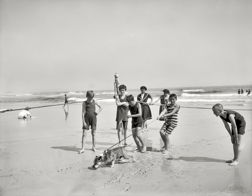 New York circa 1905. "Bulldog on the beach, Coney Island." 8x10 inch dry plate glass negative, Detroit Publishing Company. View full size.
