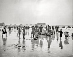 The Jersey Shore circa 1904. "On the beach, Atlantic City." Everyone please turn to face the time-portal! Detroit Publishing glass negative. View full size.
Steel Pier provides the atmosphereAtlantic City's famed Steel Pier in the background.
Not here The nearest Brazilian must be 3,000 miles away.
Lookat the kid by the boat!
Feeding frenzyI bet sharks miss the days of those wool bathing suits. It was probably the only fiber they had in their diets.
Fit!I only see only one "beer belly" in this group. It shows how our ancestors were fit through hard work and the lack of the food temptations we have today!
Bathhouse fashion dominatesA lot of the women have the same bathing attire. So do the men.  I doubt if Gucci or Ralph Lauren had a popular "must have" style for beachwear in 1904 so I assume that a local bathhouse had a hot deal on rentals that day.
His mother&#039;s hat all packed with sandLittle Bobby vowed one day to return to Atlantic City as soon as plastic was invented and make a fortune selling beach toys. That was his dream, and everyone there that day would thank him, although, sadly, nobody would remember his name. Except his mom, upstairs in the bathroom still trying to get the pungent New Jersey sand out of her hair. Yes, she was pretty sure it was Bobby.  
IncredibleWhat would these lovely people make of Snooki?
ConclusionsYears from now, I wonder what conclusions people will make about our generation just by looking at a picture of us on a beach. 
(The Gallery, Atlantic City, DPC, Swimming)