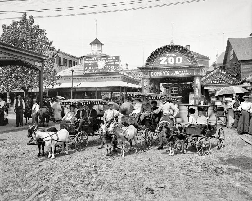 New York circa 1904. "The goat carriages, Coney Island." 8x10 inch dry plate glass negative, Detroit Publishing Company. View full size.
