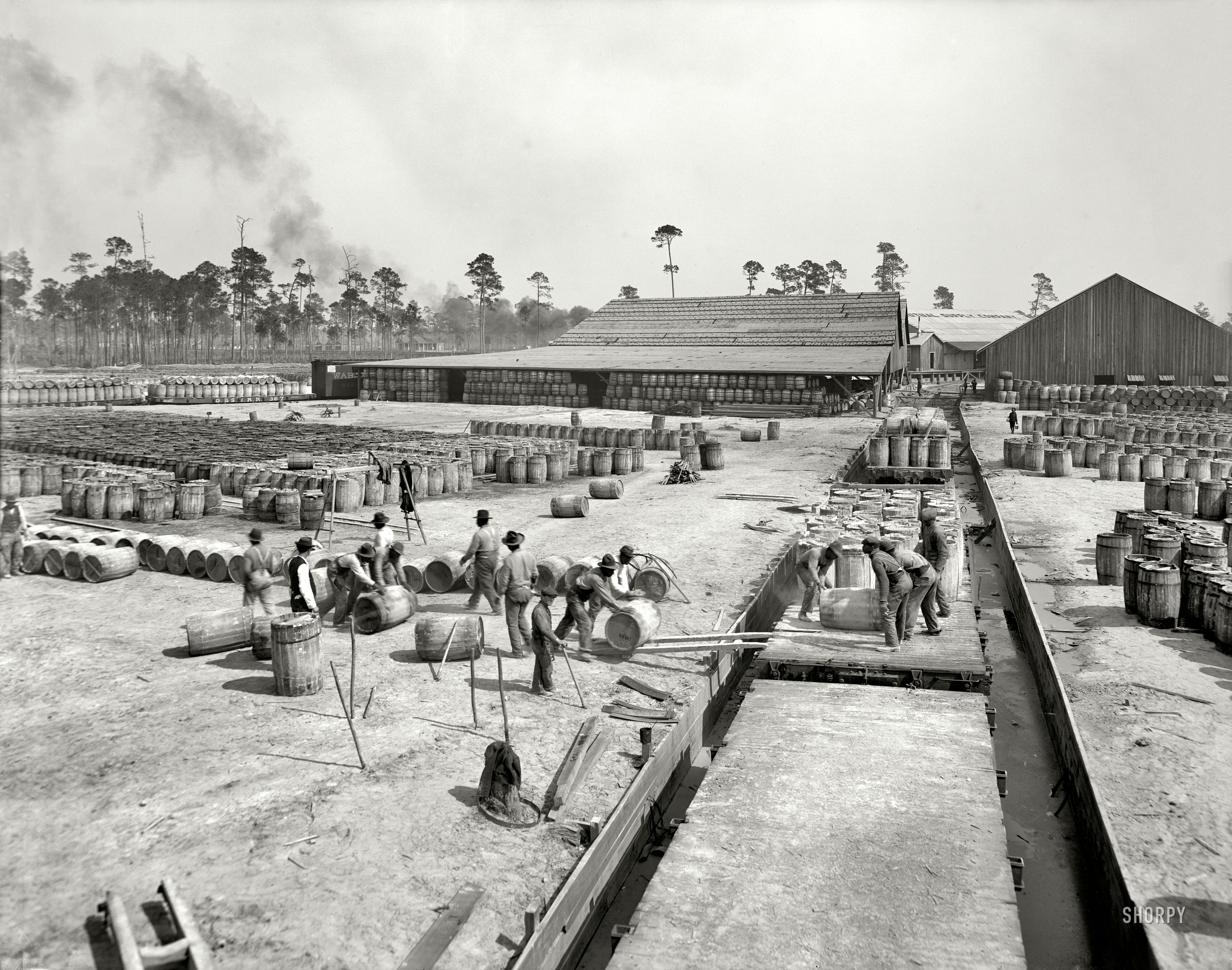 Gulfport, Mississippi, circa 1905. "New Orleans supply yard, Union Naval Stores. Shipment of rosin and turpentine." 8x10 inch glass negative. View full size.