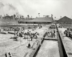 Railyard Rollers: 1905