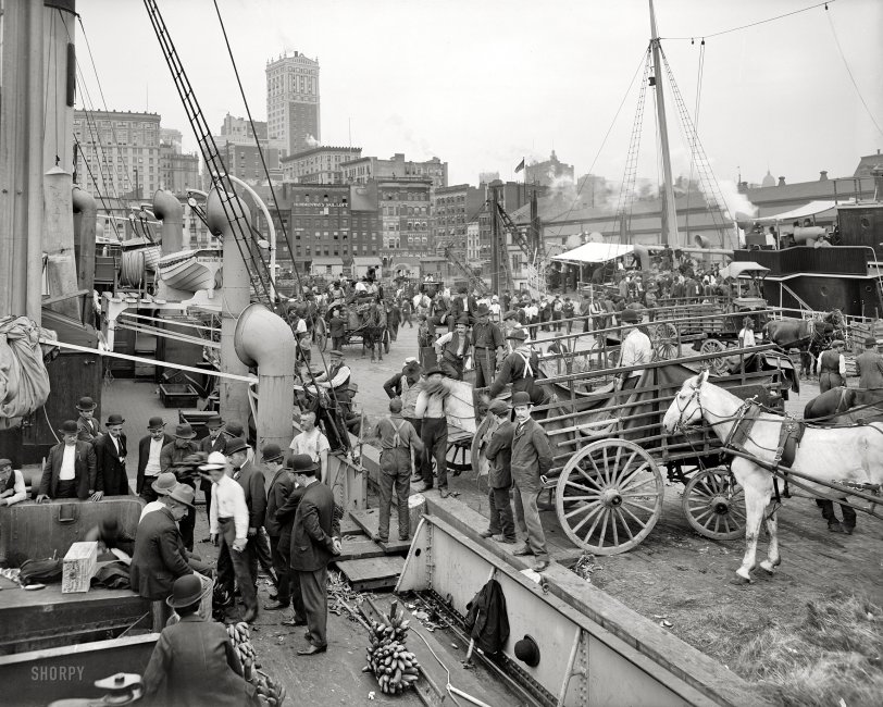 New York circa 1905. "Unloading at banana docks." 8x10 inch dry plate glass negative, Detroit Publishing Company. View full size.
