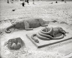 A Lion in the Sand: 1900