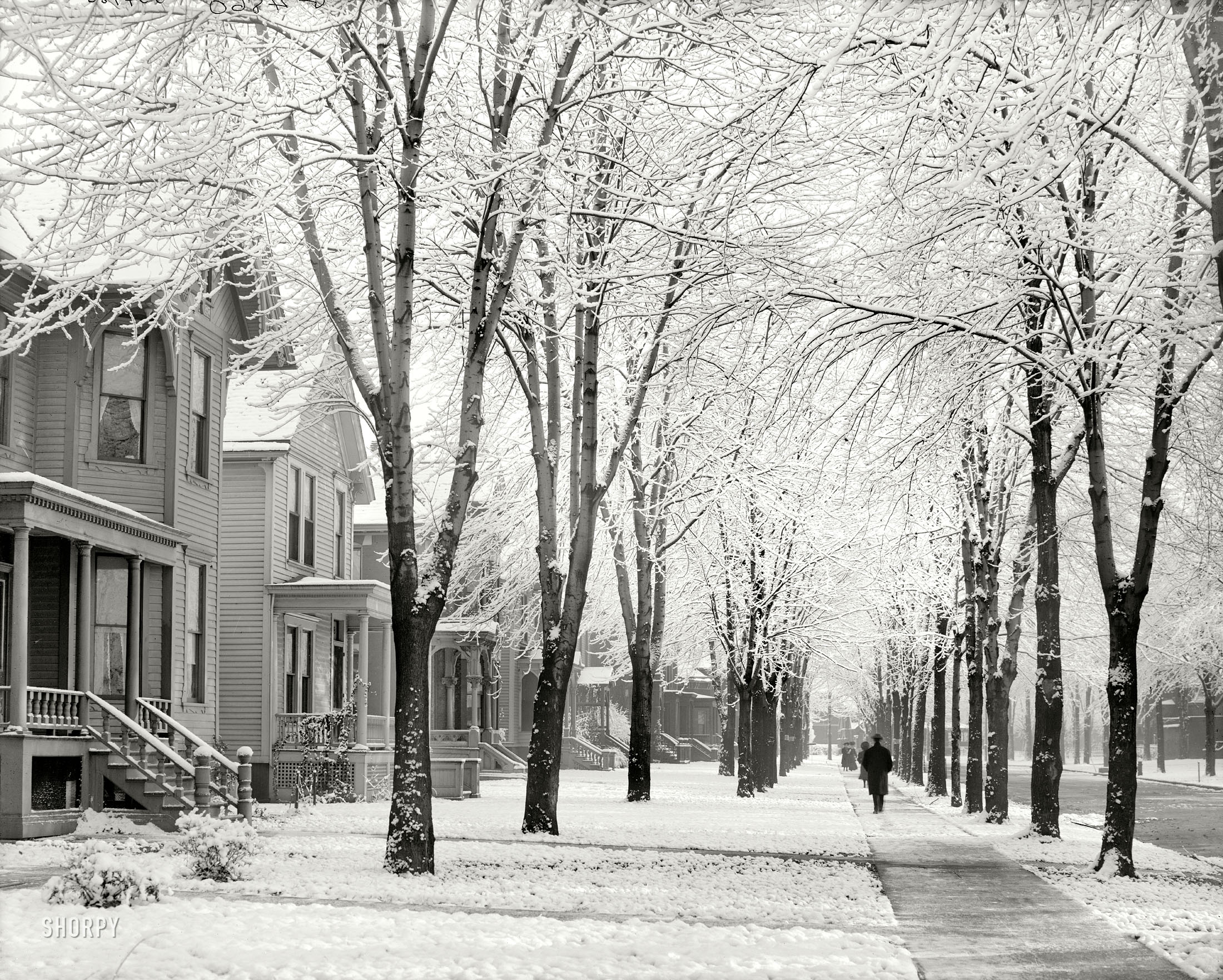 Circa 1905. "A winter morning (possibly Detroit, Michigan)." 8x10 inch dry plate glass negative, Detroit Publishing Company. View full size.