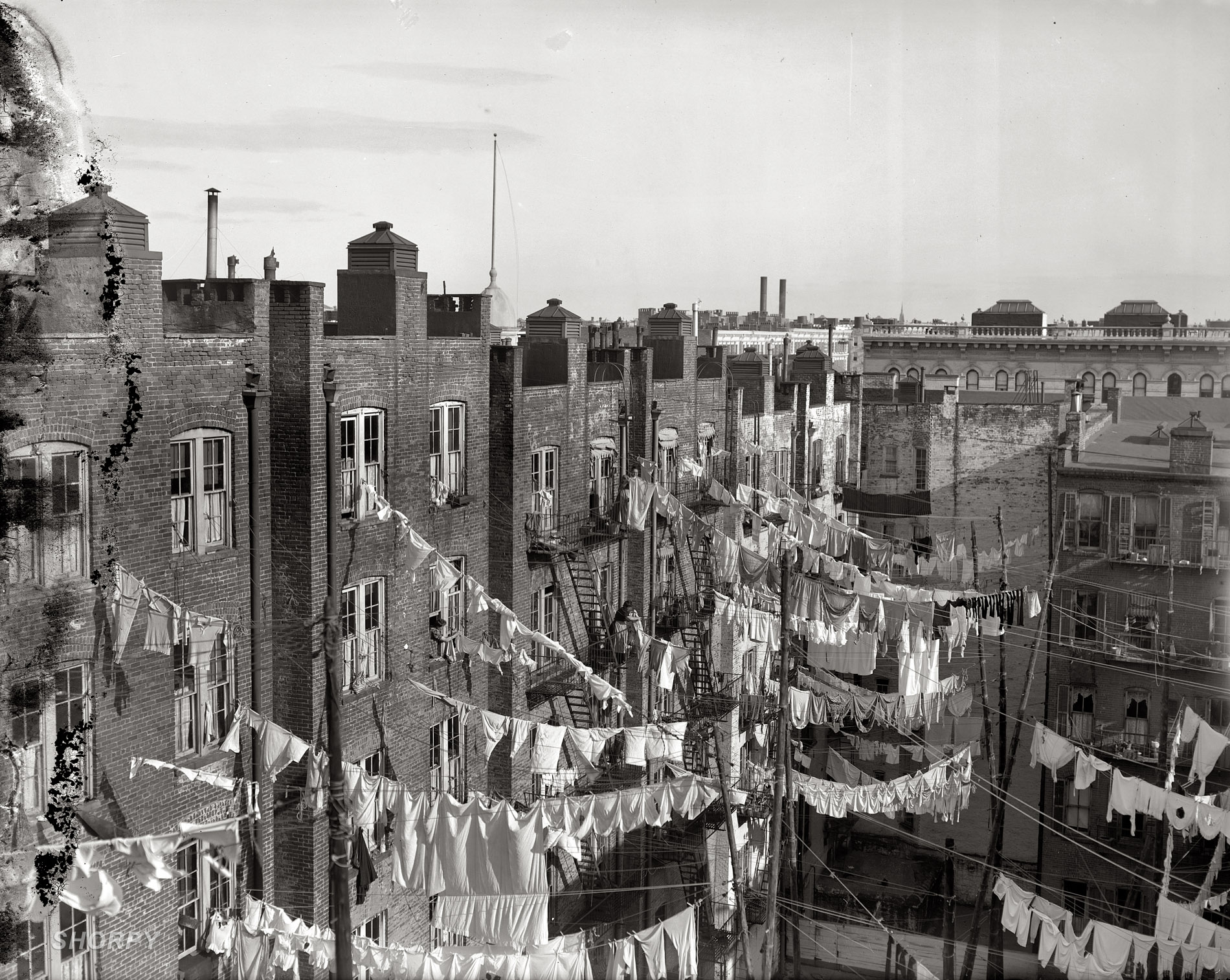 "New York tenement yard c. 1900-10." A washday wonderland in this uncropped version of yesterday's post. Detroit Publishing Co. glass negative. View full size.