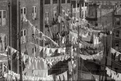 "New York tenement yard c. 1900-10." One of the better surviving images of turn of the century tenement life. Detroit Publishing glass negative. View full size.