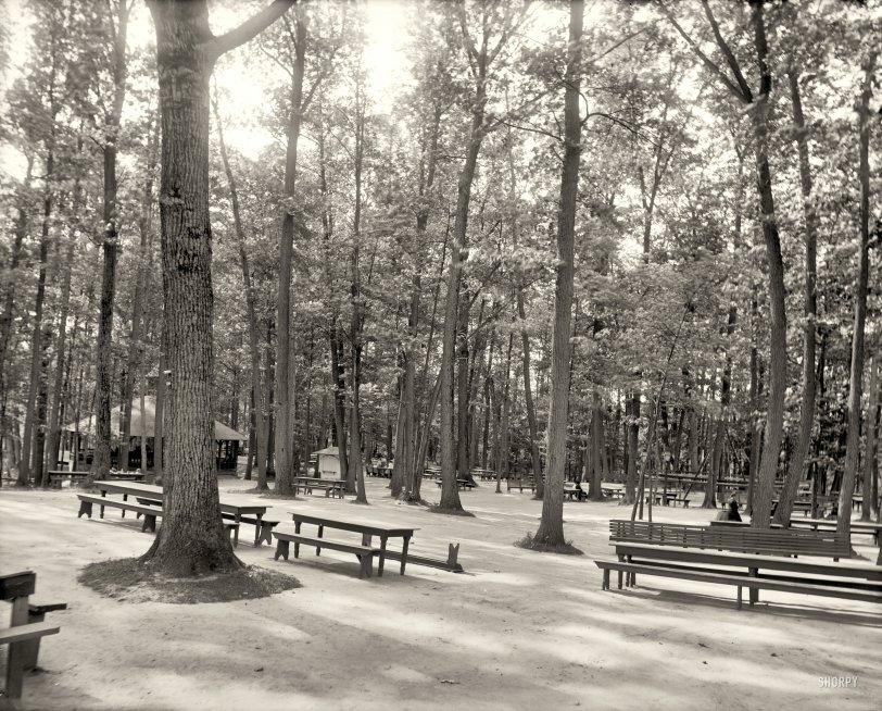 Onondaga County, New York, circa 1905. "Picnic grounds, Long Branch Park, Syracuse." Sign on the white shed: "Get your tickets for merry-go-round."  8x10 inch dry plate glass negative, Detroit Publishing Company. View full size.
