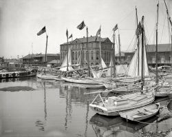 New Orleans circa 1908. "Oyster and charcoal luggers in the old basin." 8x10 inch dry plate glass negative, Detroit Publishing Company. View full size.
Shorpy UI think the posts for this photo demonstrate big time the second major virtue of Shorpy, the first one being the seemingly endless unveiling of one fascinating image after another. That second virture is the education and enlightenment provided by people who know what they're talking about. Look at what you learn (about boats and the oyster biz, in this case) in "Tonguers", "Long Tongs", "Couldn't See..." and other posts. It's like Introduction to Sailboats 101 or something. Marvelous, totally marvelous. Thank you, oh learned Shorpians.
Great lines on that scow schooner in the backgroundBoats like this, built with simple materials and for a specific purpose, are often more beautiful than the fanciest yacht.  Much more graceful looking than any modern glass racing sailboat.
&#039;Arster DrudgersThese little flat bottom boats with a center board keel were fast sailers and had a beautiful line to them as exemplified by "1708 SUPERIOR" in the photo above. Sometimes referred to as Skipjacks, Bugeyes, Sharpies and other names depending on the rig; Chesapeake Bay was once full of them.
Boat and more boatsThis is a wonderful picture. The Center For Wooden Boats in Seattle WA www.cwb.org has two big sharpies in daily use.
Those little flatiron skiffs like the one in the foreground aren't so bad, either, and are now rarely to be found.  
Long tongsNot a mechanical dredge in sight.  Lots of long tongs are visible.  Oystermen in this area started using mechanical dredges around this time of the century but stopped doing so when they realized the damage that dredges caused to the oyster beds.  They returned to the hand tongs again.   Did anyone notice that one of the crew seemed to be plucking a broom for the camera?
TonguersThere are several types of boats in this scene.  The "luggers" of the title are the ones with the booms secured to the masts at about a one third point, like "___ Tedesco 93" close to the middle of the scene.  Several of them have what looks like sail covers of a dark material -- today we generally think sail covers were not needed in the time period of canvas sails that do not deteriorate when exposed to sunlight.
The balanced lug rig was common in France during the Age of Sail.  Could it be that the type is actually a survivor from the period when New Orleans was a French colony?  Howard I. Chapelle, in "American Small Sailing Craft," 1951, says the lug rig came from the Channel coast (used on both the French and British sides), but the hull evolved here.  The rig is "the only dipping lugsail  to be used in an American work-boat type in the late 19th century."  A plan of a New Orleans lugger is figure 104 in Chapelle, and it looks almost exactly like Tedesco 93 here.  In the photo, there seems to be a parrel holding the yard to the mast, making it hard to imagine how the lugsail would be dipped to get it to the other side of the mast.
Several of the luggers also have long poles stacked up with one end in the bows and the other resting on the booms near the mast.  These look like they might be tongs.  Therefore, the boats probably do not dredge for the bivalves, they tong.  This conclusion is also supported by the small size of the craft and the absence of winches and tackle for handling a dredge.  The luggers are fully molded in form, not flat or V-bottomed like scows or most of Cheaspeake Bay's skipjacks.  They have but one mast and sail.
There are schooners in the scene and one conventional gaff sloop with headsails, in the foreground, named Minerva.  The craft behind her, 1708 Superior, seems to be a schooner with quite a large boomed headsail on a bowsprit (Look up at the masts -- it's easier to tell).
Before wood was replaced by other materials in boatbuilding, every region of the country had its own types of fishing and cargo craft, even down to quite small sizes. 
Swab the DeckFor working boats they sure are very clean, I'm impressed.
I wonder what they did with these boats when a hurricane rolled through? They probably didn't get as much of a warning that one was coming like we do today.
Couldn&#039;t see any sharpies in thereMy family began their oyster business in New Haven about 1868, and sharpies had been in use for some decades before that. The sharpie is a cat-rigged (mast at the very bow) vessel renowned for its speed and ability to hold a big load of oysters.
There is a  sharpie on display at Mystic Seaport in Connecticut.
As oyster gathering shifted to dragging, rather than tonging, the boats became larger and eventually powered. The last of the old era was just before WWII. In 1940 my mother filmed a Sunday seagoing picnic  on one of the family's draggers, the Catherine M. Wedmore, built in 1924, named after my great-grandmother, and still in service dragging oysters and clams. 
We always said that warm-water oysters weren't particularly good, and my opinion on that matter has not changed.
Pretty SailsI like the scallop edging on the sails on the right. Must have looked great.
Pepino Tedesco&#039;s Boat

First Annual Report of the Oyster Commission of Louisiana, 1904.


List of Vessels Other Than Fishing Skiffs Licensed by the Oyster Commission of Louisisana.

License Number, Name of Vessel, Name of Owner, Address, Capacity in BBLS, Tonnage.
…
59, Lugger Chavere Tedesco, Pepino Tedesco, New Orleans, 141, 8.
…
93, Lugger Joseph Tedesco, Tedesco, Tedesco &amp; Lazard, New Orleans, 106, 6.
…
1708, Lugger Superior, Marco Koparitich, New Orleans, 107, 6.
...

Tedesco Oyster Luggers - 1908   My grandfather Salvatore Tedesco, brothers listed in "Pepino Tedesco Boat" were Pepino (Joseph) Tedesco and Chavere (Saverio)Tedesco.  Lazard is Pepino's son-in-law Alberto Lazaro.
    A response to "Swab the Deck" regarding hurricanes.  On October 2, 1893 a storm which would be known as the Cheniere Caminda hurricane which hit on the Louisiana mainland just west of Grand Isle with winds of 135 mph unexpectedly.   Captain Chavere Tedesco and three crew men were in Biloxi waters when the storm hit. The crew men were lost and Chavere was in the water three days before being rescued. Another brother, Tony Tedesco, was in the lugger F. W. Elmer (Biloxi waters) with two crew men all three were lost. There is an estimate of 2,000 persons lost their lives and many were fishermen.  This information came from Pepino's daughter Josephine who passed away this year at 103 years old and the Times Picayune newspaper.  During the month of October, 1893 the Times Picayune lists many of the persons that died and the persons that survived.  The articles are detailed and very informative.
Storm of 1893 - Cheniere CaminadaGiuseppe Tedesco had 3 brothers, Agostino, Chaverio and Antonino (Tony).  Two of them were in luggers when the storm of 1893 (hurricane).  They were in Biloxi waters when the storm hit - they did not know it was coming.  Chaverio's boat was lost and he was in the water 3 days before he was rescued and Tony and two other men in their lugger were lost.  Below is a link to the Louisiana Genweb Archives Project - Newspaper Articles which I added some of the newspaper articles that ran in October, 1893.  They were posted during the months of May and June, 2007.
http://www.usgwarchives.net/la/orleans/newspapr4.htm
(The Gallery, Boats & Bridges, DPC, New Orleans)