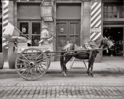 New Orleans circa 1910. "A typical milk cart." At the Shaving Parlor. 8x10 inch dry plate glass negative, Detroit Publishing Company. View full size.