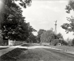 Wayne County, Michigan, circa 1900. "A Grosse Ile road."  8x10 inch dry plate glass negative, Detroit Publishing Company. View full size.