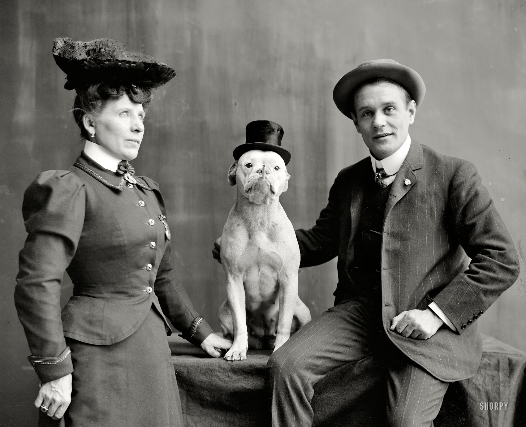 Circa 1908. "Mr. and Mrs. Frank Kern and trained dog Bobbie." 8x10 inch dry plate glass negative, Detroit Publishing Company. View full size.