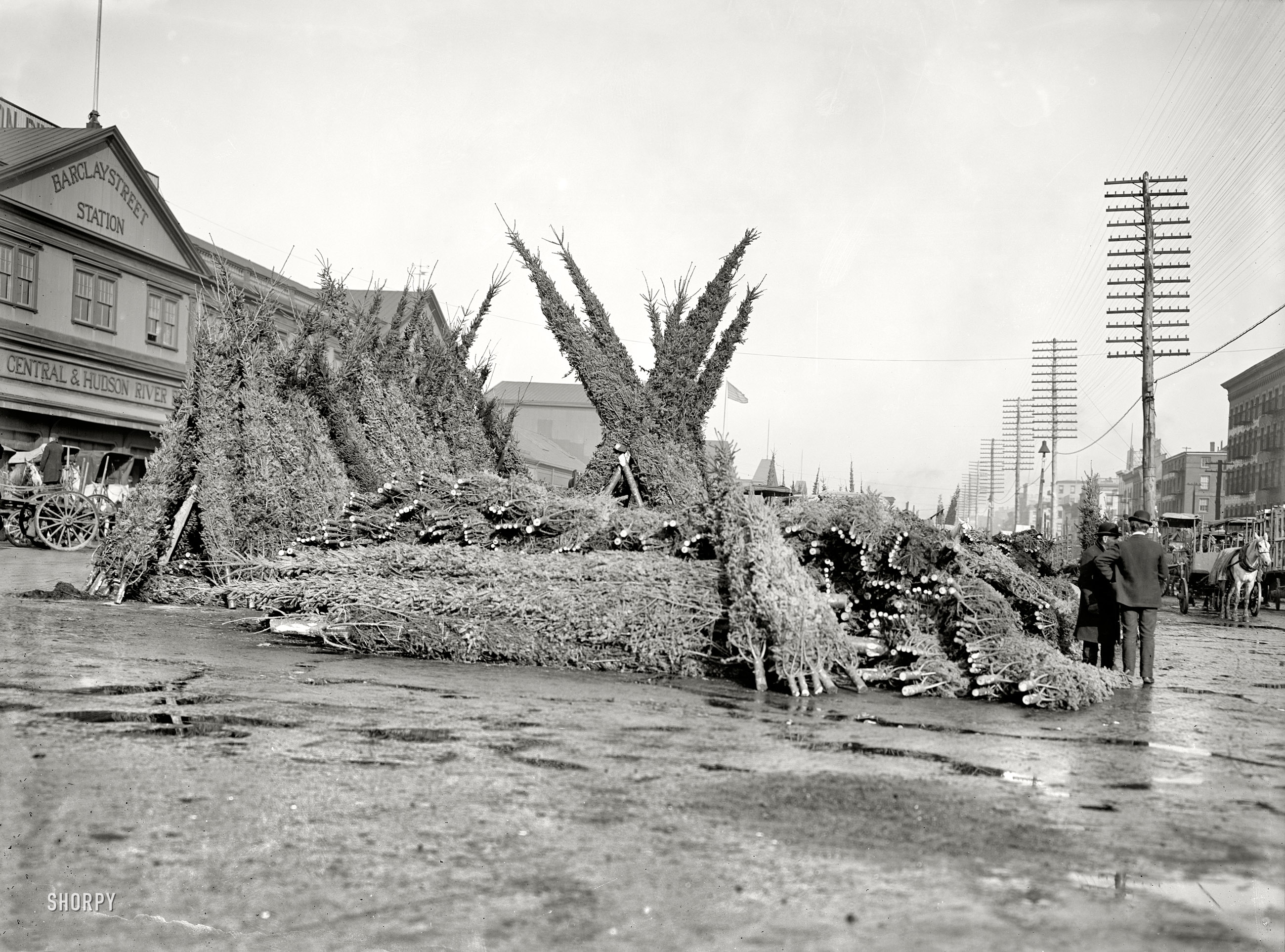 New York circa 1903. "Cut Christmas trees at market in front of Barclay Street Station." May all your Christmases be bright and all your ceilings be tall. 6½ x 8½ inch dry plate glass negative, Detroit Publishing Company. View full size.