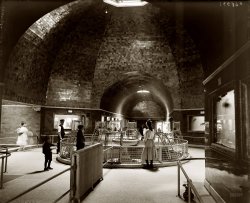 The Belle Isle Park Aquarium in Detroit circa 1908. Its cavernous spaces and glass viewports afforded aquatic life a fascinating peek at the bipedal terrestrial creatures known as homo sapiens. 8x10 inch glass negative, Detroit Publishing Company. View full size.