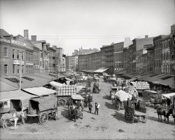 "Dock Street, Philadelphia, circa 1908." Detroit Publishing Co. View full size.