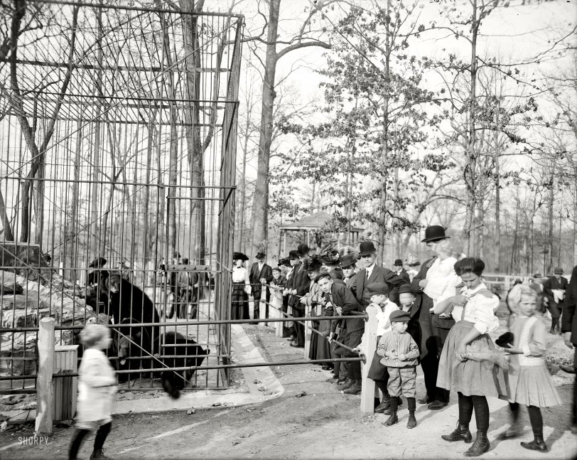 The Bear Pits: 1910