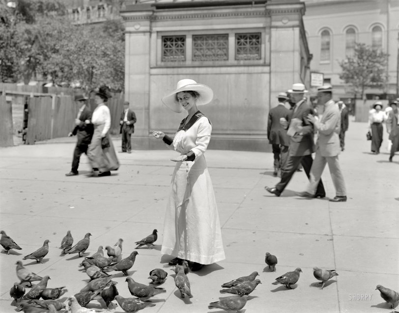 Boston, Massachusetts, circa 1915. "Feeding the pigeons in Boston Common." 8x10 inch dry plate glass negative, Detroit Publishing Company. View full size.
