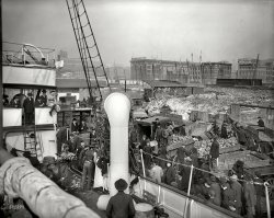 Baltimore, Maryland, circa 1905. "Unloading banana steamer." A teeming scene that calls to mind the paintings of Brueghel, if Brueghel ever did bananas. Note the damage from the Great Fire of 1904. 8x10 glass negative. View full size.