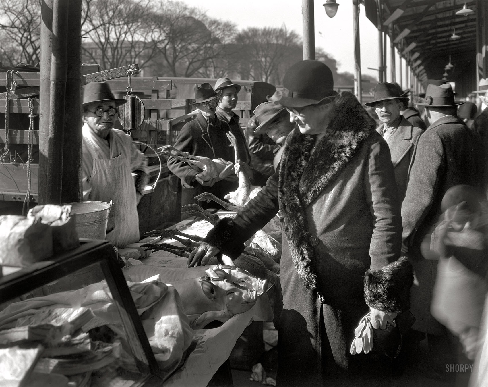 Washington, D.C., circa 1935. "Shopping at Center Market." Perusing the original whole foods. Acetate negative by Theodor Horydczak. View full size.