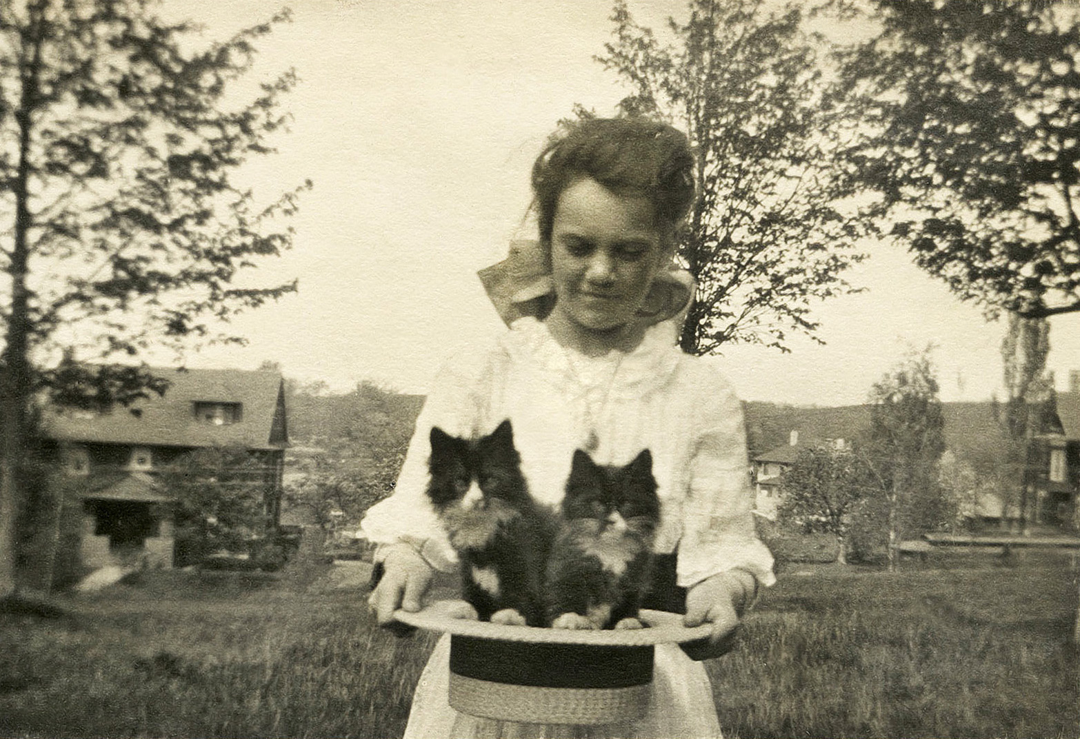My great-great-grandmother, Ruth Dodge, holding two of her cats in Worcester, Massachusetts, 1913. View full size.