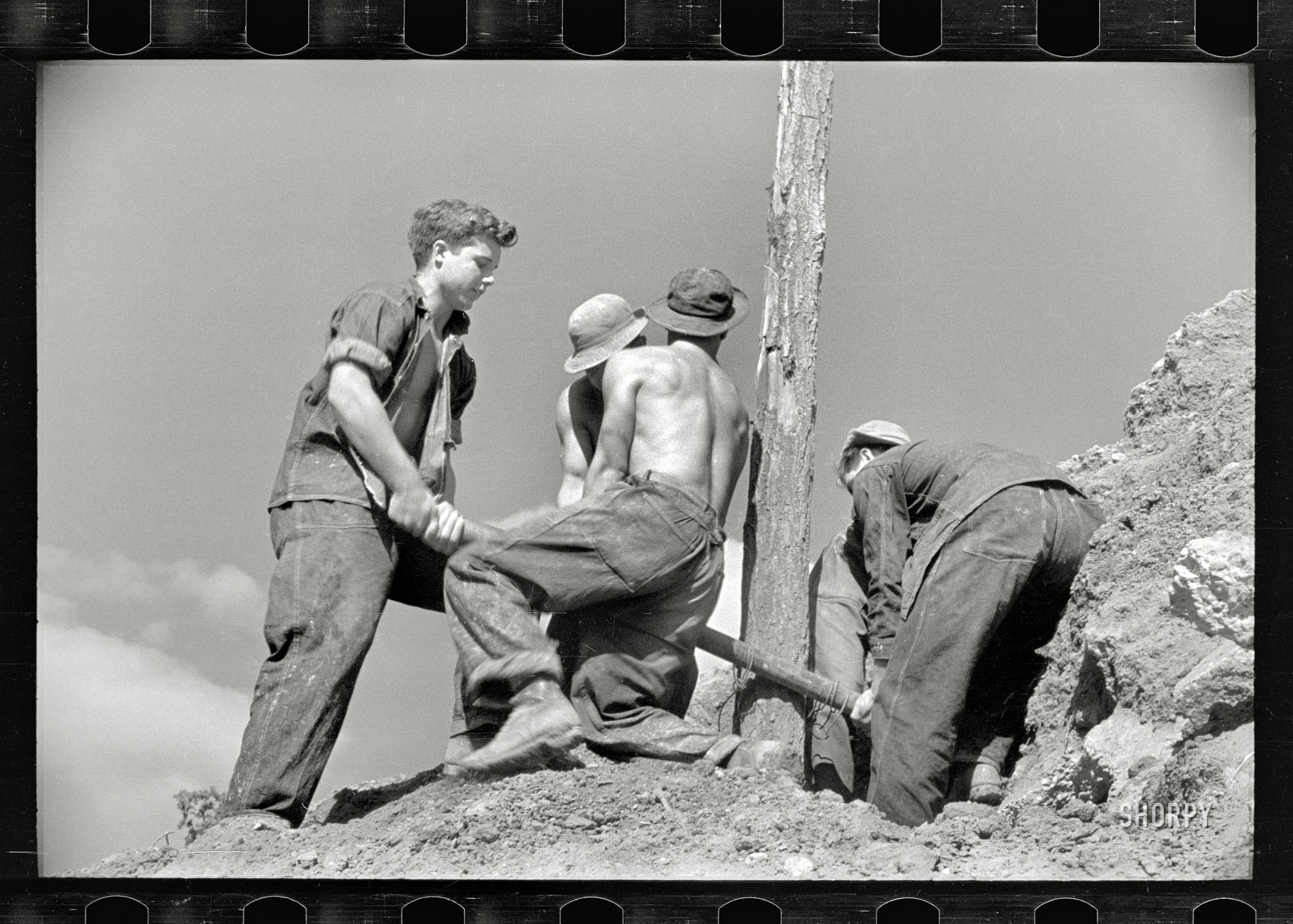 November 1935. Prince George's County, Maryland. "CCC boys at work." Another one of those Civilian Conservation Corps projects that involved lots of photogenic exertion. 35mm negative by Carl Mydans for the FSA. View full size.