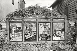 September 1939. Cadott, Wisconsin. "The week's bill." 35mm nitrate negative by John Vachon for the Farm Security Administration. View full size.
Poster collectorsI checked some auction prices for these one-sheet movie posters, and came up with three:
Susannah of the Mounties $134 (2009)
Stronger than Desire $45 (2006)
Andy Hardy Gets Spring Fever $120 (2008)
The ringer is the Gracie Allen. I couldn't find any references or images of this particular design, but many for a different one whose estimates range up to $1700, so perhaps the one here is a real rarity.
"Vine." I get it.
LongevityMore than seven decades later, the stars of two of these movies are still among us: Mickey Rooney (going on 91) and Shirley Temple (83).
Stanley&#039;s Selection1939 was one of the greatest years ever for movies - i.e. Gone With the Wind, The Wizard of Oz, Dark Victory, Stagecoach, Mr. Smith Goes to Washington, Wuthering Heights, etc. - and the Stanley Theatre isn't showing even one of them!
Not Exactly First-RunAs with most small town movie houses, it looks like Cadott's Stanley Theatre was not very high up in the pecking order for new releases. According to IMDB, "Susannah of the Mounties" was released on June 13, 1939, "The Gracie Allen Murder Case" on June 2, "Stronger Than Desire" on June 30, and "Andy Hardy Gets Spring Fever" on July 21. Any Cadott residents who burned to see the latest movies might have made the nearly 100-mile trek to Minneapolis for quicker gratification.
Some of the hit movies mentioned below had been released in the Spring, but "The Wizard of Oz" didn't hit the screens until August 25 - sit tight, Cadott - and everyone was going to have to wait a bit longer for "Gone With the Wind." Although it premiered in December, it was not actually distributed to theaters until January 17, 1940.
Gracie Allen Murder CaseMy mother had a set of S.S. Van Dine's Philo Vance murder mysteries, gray covers with a spiderweb design.  One of them was The Gracie Allen Murder Case.  Philo was a rich guy of the "old boy, my dear chap" school whose valet assisted him in his investigations. I recall that many of the chapters began with epigrams in Latin or Greek and Philo was always tossing in "bon mots" in French.
Pre-TV WorldAs someone who has grown up in a post-television world, I find it fascinating how so many movies could be at one single screen theater over the course of 10 days. Hope you don't have any plans Tuesday night because that is the last night for "Susannah of the Mounties"!
On another note, what is a "bank-nite" and why is touted as being special?
[The signs say "Book Night." A promotional stunt dreamed up by exhibitor Robert Lippert. - Dave]
I did see that sign, but what I was referring to was written next to the Wed &amp; Thurs above the Gracie Allen Murder Case poster. 
Top BillingLewis Stone over Mickey Rooney
Gracie Allen over Kent Taylor
What were they thinking?
Now PlayingThe Stanley Theater  is still open and playing films. I've had the pleasure myself, actually.
Daniel "Mussy" Eslinger and his family have been running the theater since 1968. In 2010, the family restored the outside of the theater to its  1936 glory.
The theater is a gem and so is Mussy. Where else can you get real butter on your popcorn?
Bank NiteBank Night (listed on the Wed-Thurs board as "Bank Nite") was a lottery for prizes which theaters held during the latter part of The Depression in order to get more patrons into their theater.
WallpaperThis picture would be the perfect 'wallpaper' for a fan of classical movies.  I wonder if TCM has any of these flicks in their vault.  I'd like to see the 'Gracie Allen' picture; note that George Burns isn't mentioned. Interesting.
(The Gallery, John Vachon, Movies)