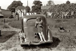July 1940. Migrant camp at a fruit-packing plant in Berrien County, Michigan. (On the car: yet another Shell Oil license-plate ornament.) View full size. 35mm nitrate negative by John Vachon for the Farm Security Administration.