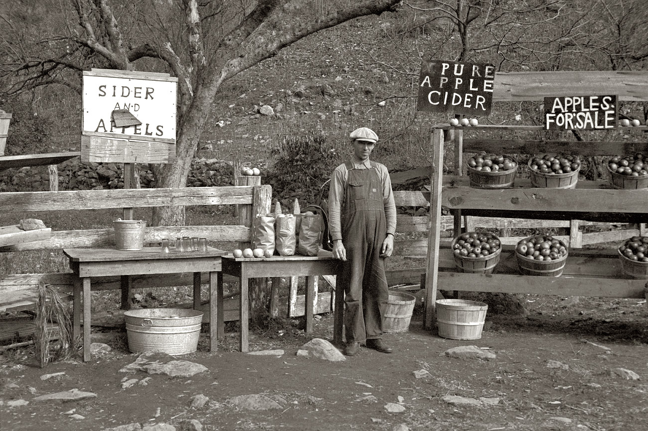 October 1935. "A cider and apple stand on the Lee Highway, Shenandoah National Park, Virginia." View full size. 35mm nitrate negative by Arthur Rothstein.
