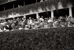 February 1939. "Horse races, Hialeah Park, Miami." View full size. 35mm nitrate negative by Marion Post Wolcott for the Farm Security Administration.