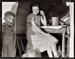 February 1939. Calipatria, Imperial Valley. Farm Security Administration emergency migratory labor camp. Daughter of ex-tenant farmers on thirds and fourths in cotton. Had fifty dollars when set out. Went to Phoenix, picked cotton, pulled bolls, made eighty cents a day. Stayed until school closed. Went to Idaho, picked peas until August. Left McCall with forty dollars "in hand." Went to Cedar City and Parowan, Utah, a distance of 700 miles. Picked peas through September. Went to Hollister, California. Picked peas through October. Left Hollister for Calipatria for early peas which froze. Now receiving Farm Security Administration food grant and waiting for work to begin. "Back in Oklahoma, we are sinking. You work your head off for a crop and then see it burn up. You live in debts that you can never get out of. This isn't a good life, but I say that it's a better life than it was." View full size. Photo and caption by Dorothea Lange.