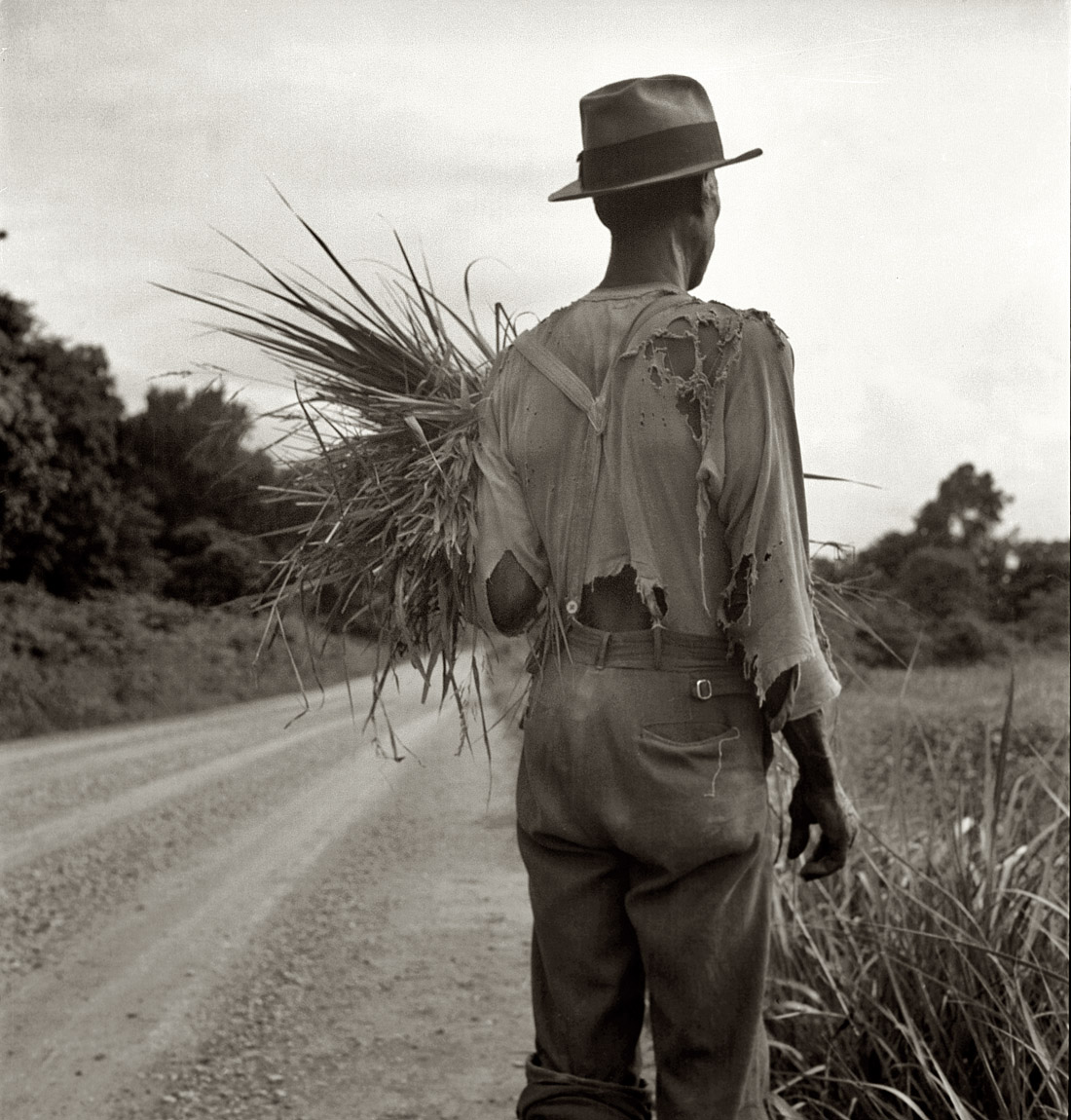 July 1936. "Old-time Negro living on a cotton patch near Vicksburg, Mississippi." View full size. Medium-format nitrate negative by Dorothea Lange.