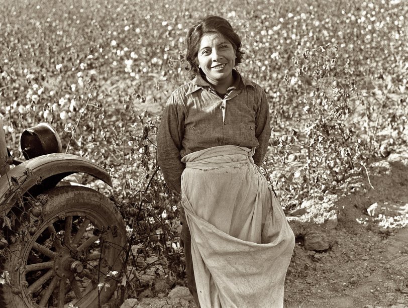 November 1936. "Cotton picker. Southern San Joaquin Valley, California."  Medium-format nitrate negative by Dorothea Lange for the FSA. View full size.