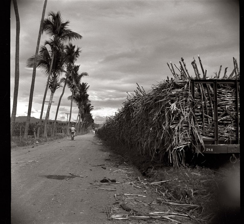 January 1938. "Train loaded with cane on a sugar plantation near Ponce, Puerto Rico." Nitrate negative by Edwin Rosskam. View full size.