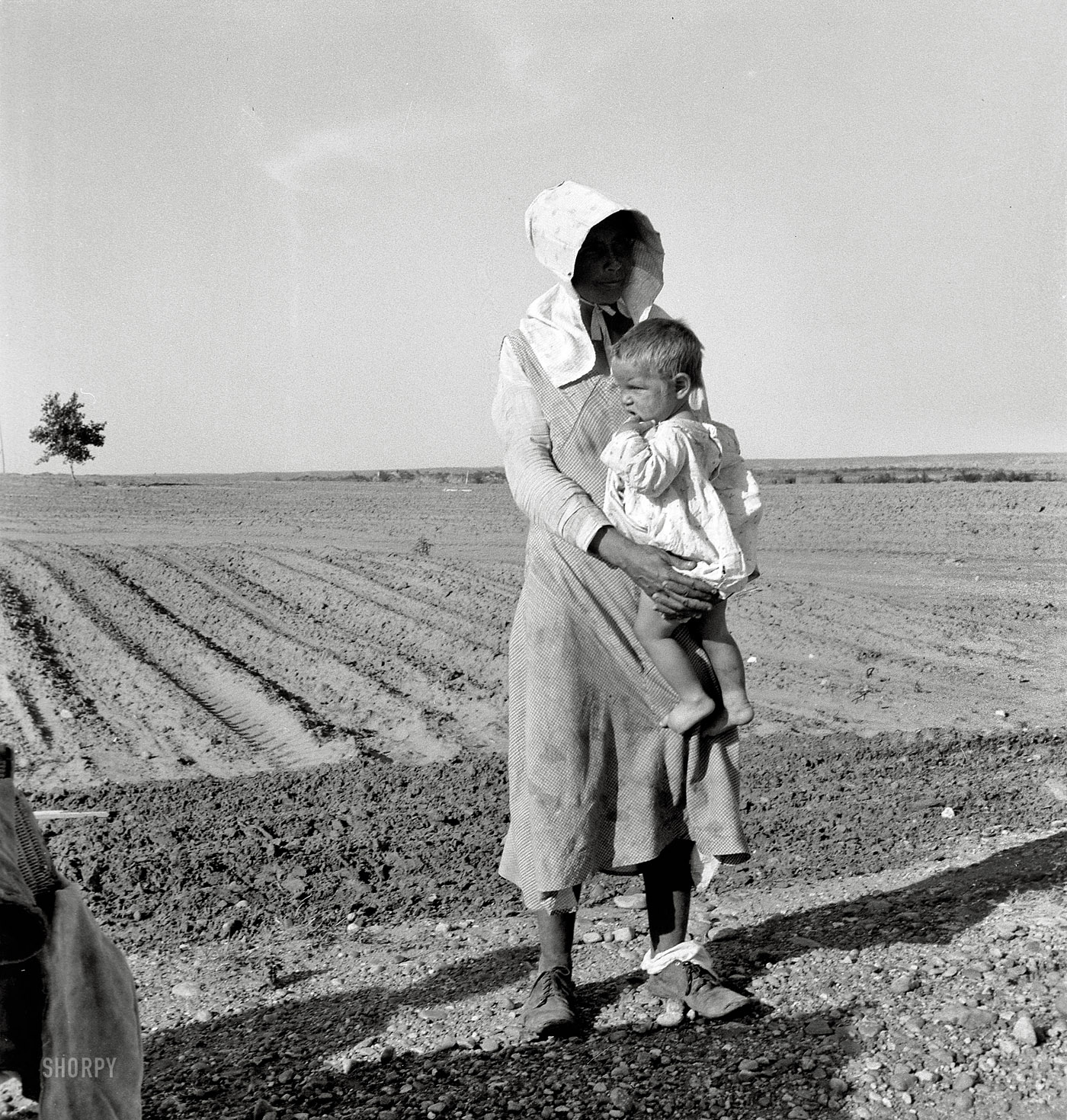 May 1937. "Mother and child of Arkansas flood refugee family near Memphis, Texas. These people, with all their earthly belongings, are bound for the lower Rio Grande Valley, where they hope to pick cotton." Medium-format nitrate negative by Dorothea Lange for the Resettlement Administration. View full size.