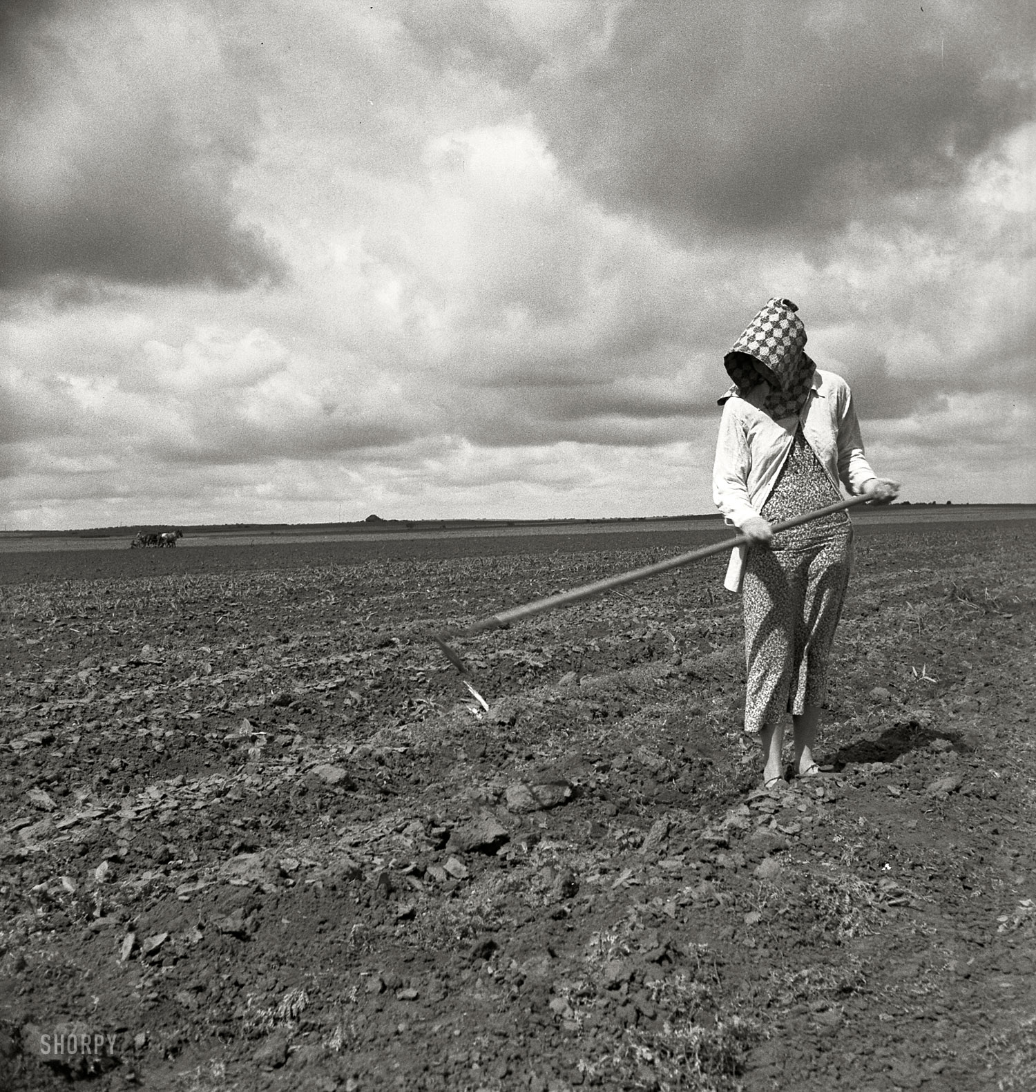 June 1937. "Wife of Texas tenant farmer. The wide lands of the Texas Panhandle are typically operated by white tenant farmers, i.e., those who possess teams and tools and some managerial capacity." Medium-format nitrate negative by Dorothea Lange for the Farm Security Administration. View full size.