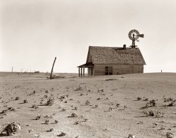 Coldwater District north of Dalhart, Texas. This house is occupied; most of the houses here have been abandoned. View full size. Photo by Dorothea Lange.