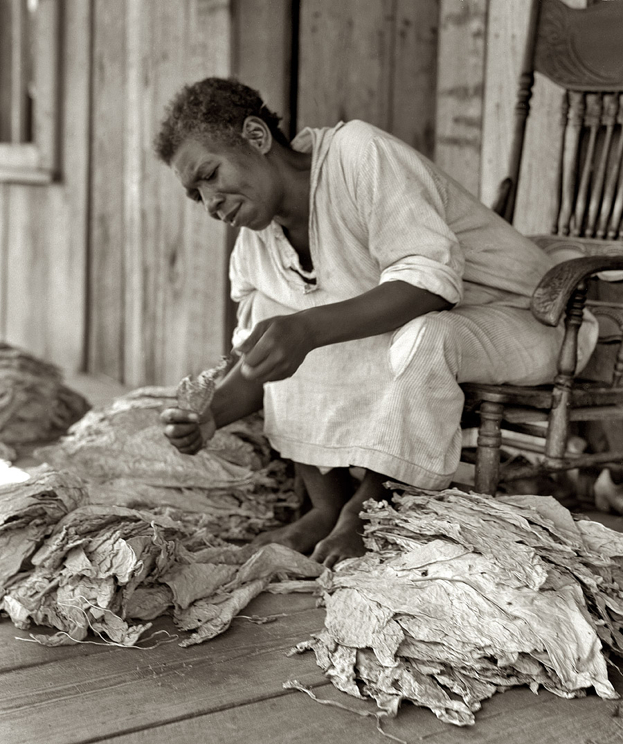 July 1938. Sorting tobacco on the porch near Near Douglas, Georgia. The program to eliminate the risk and uncertainty of a one-crop system meets the approval of this sharecropper: "You don't have to worriate so much and you've got time to raise somp'n to eat." View full size. Medium-format nitrate negative by Dorothea Lange for the Farm Security Administration.